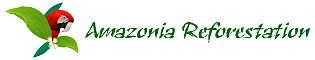 Amazonia Reforestation
