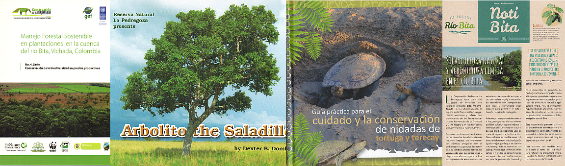 Publication Covers