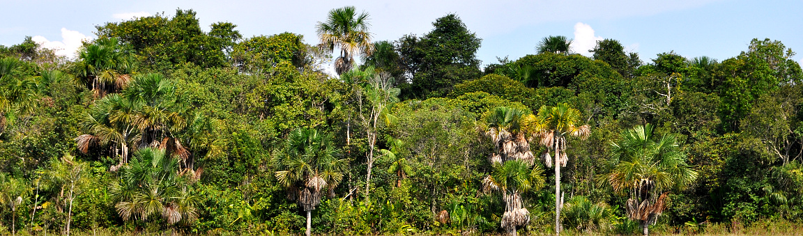 La Pedregoza Natural Reserve