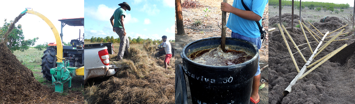 Making Compost and Teas
