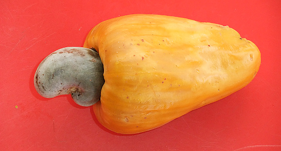 Cashew Fruit