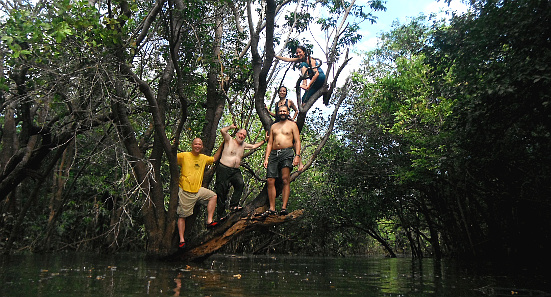 Inundation Forest - Caño Manatí